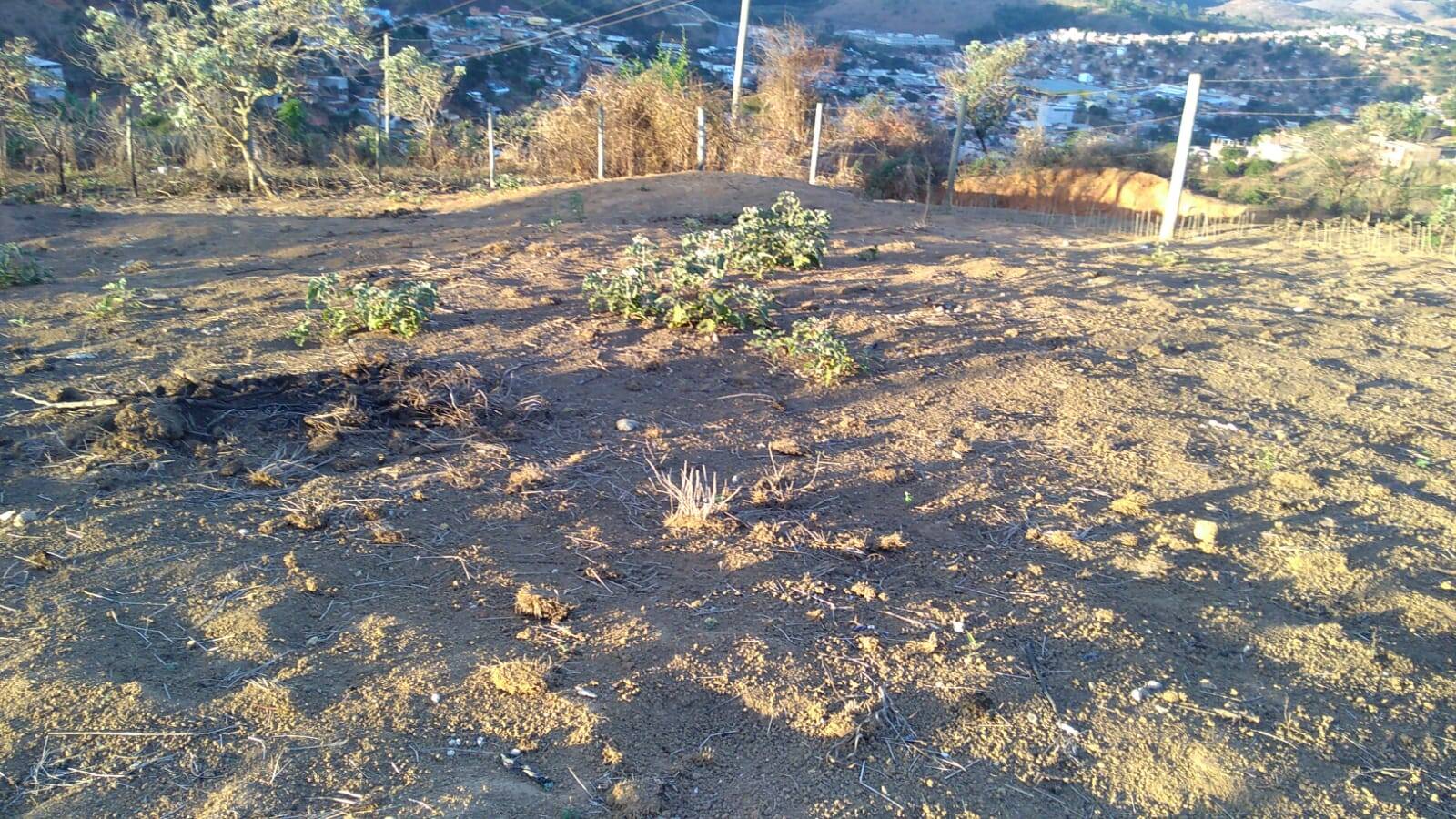 VENDE-SE TERRENO CRECI 42.187 CONTATO (33) 999228110 OU (33) 3521-0872