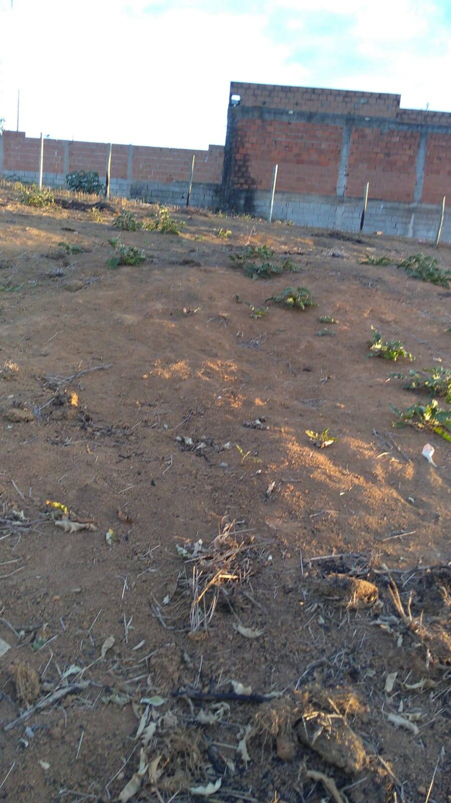 VENDE-SE TERRENO CRECI 42.187 CONTATO (33) 999228110 OU (33) 3521-0872